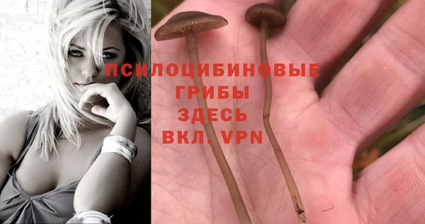 кристаллы Медвежьегорск