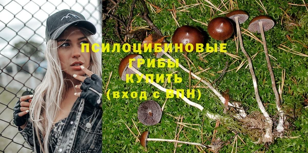 наркотики Михайлов