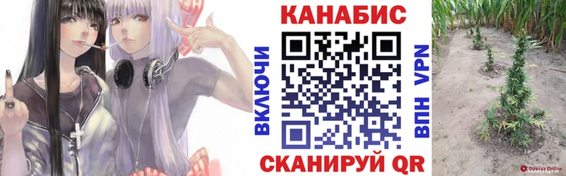 Марихуана VHQ  Купить закладки  Пятигорск 